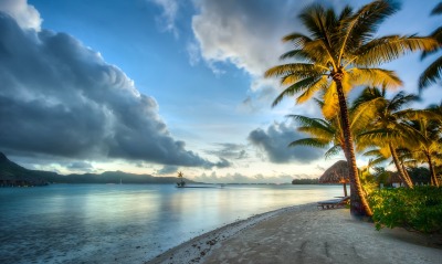 бора бора тихий океан тропики пляж пальмы