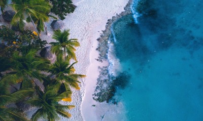 пляж, пальмы