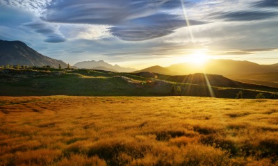 новая зеландия пейзаж закат трава