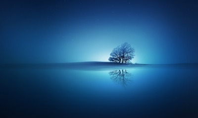 вода деревья синий арт