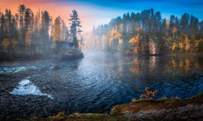 река лес туман утро