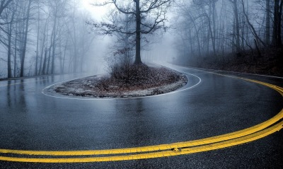 дорога лес туман