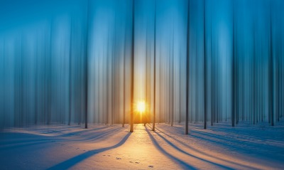 природа зима снег деревья солнечный свет