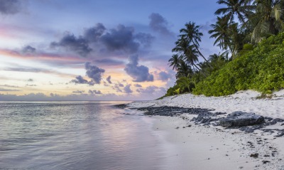 берег песок океан остров пальмы тропики