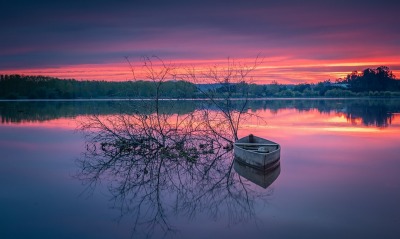озеро ветви лодка закат