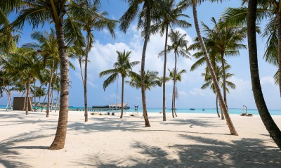 пляж пальмы песок океан