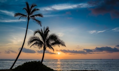 пальмы закат море небо