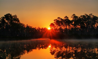 утро рассвет озеро водоем туман деревья