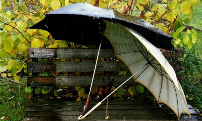 Зонтики на лавке под дождем