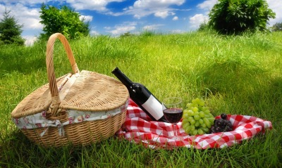 Пикник на траве