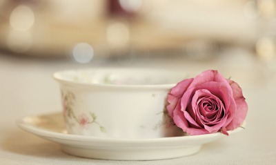 Роза возле тарелки