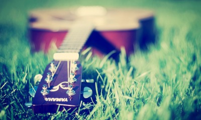 гитара на лужайке