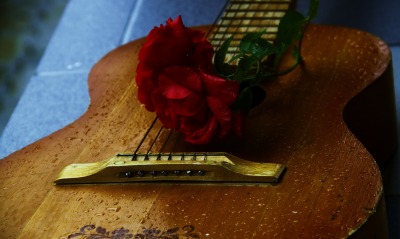 цветок на гитаре