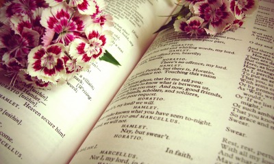 цветы, книга