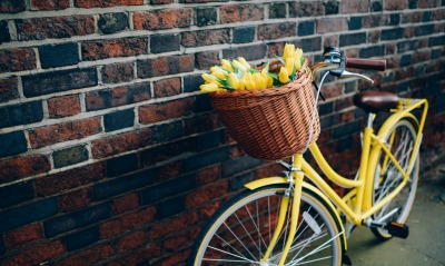 велосипед, тюльпаны