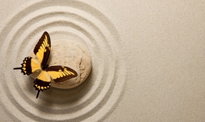 бабочка, камень