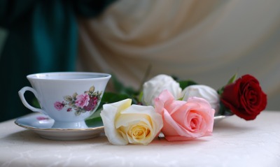 чашка, розы