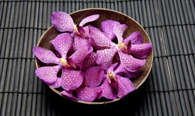 орхидея, лепестки