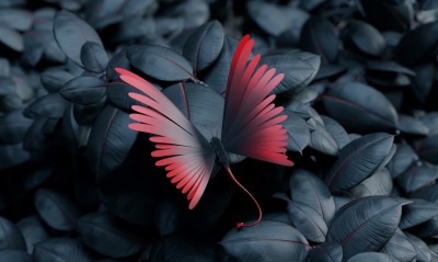 бабочка, листья