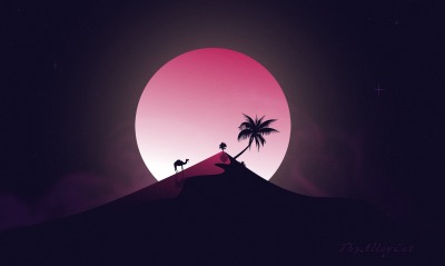пустыня верблюд пальма вершина