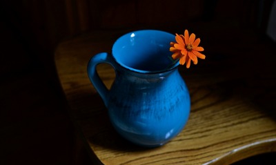 ваза глиняная цветок