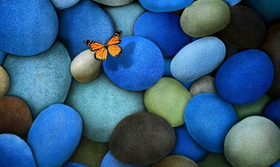 бабочка камни цветные