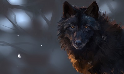 волк рисунок шерсть