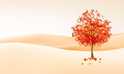 дерево осень арт рисунок минимализм