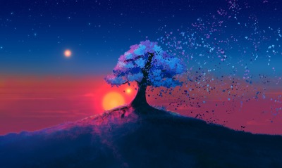 дерево солнце закат небо