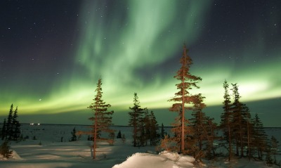 The Northern Lights, Churchill, Manitoba, Canada