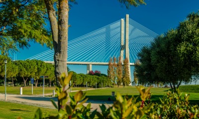 мост, парк