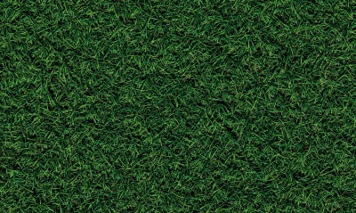 трава текстура газон