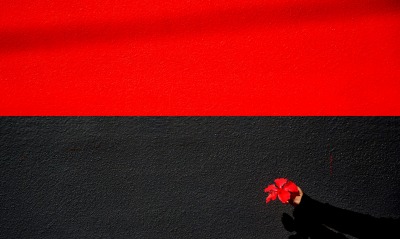 красный черный стена цветок