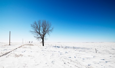 природа зима деревья горизонт