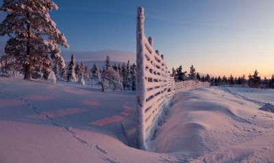 забор, снег