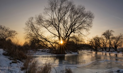 река зима рассвет дерево