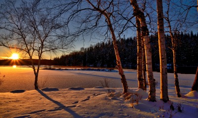 зима снег рассвет озеро березы