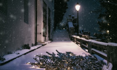улица зима ель ночь снег новый год