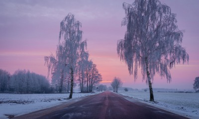 зима дорога деревья иней снег мороз