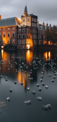 город вечер вода утки нидерланды