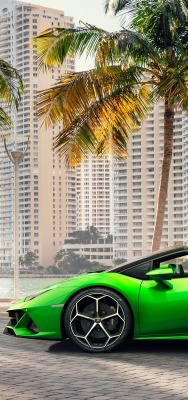 ламборгини зеленый автомобиль спорткар