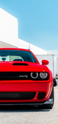 dodge красная вид спереди