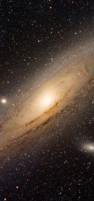 галактика космос звезды андромеда