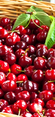 еда ягоды вишня черешня корзина природа