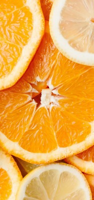 цитрус лимон аппельсин грейпфрут дольки