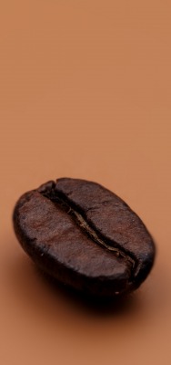 кофе зерно минимализм