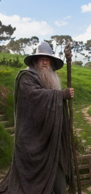 The Hobbit, An Unexpected Journey Колдун