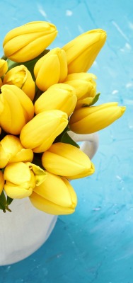 тюльпаны графин желтые цветы букет голубой фон