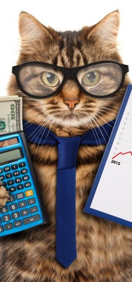 кот калькулятор деньги график галстук