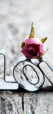 слово love роза